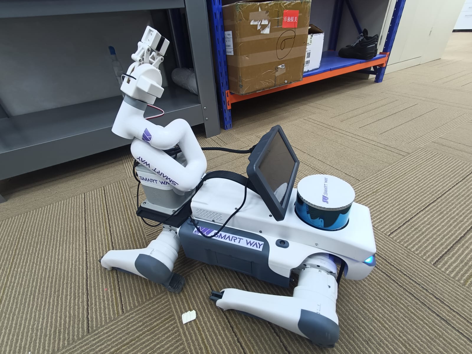 Side image of mobile manipulator system